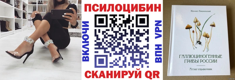 Псилоцибиновые грибы Cubensis Томмот